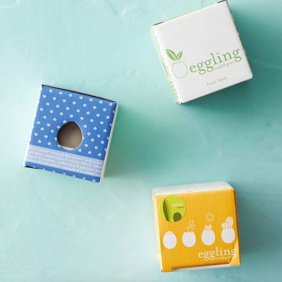 Anthropologie Other - Anthropologie | NWT Eggling Grow Kits, Set of 3